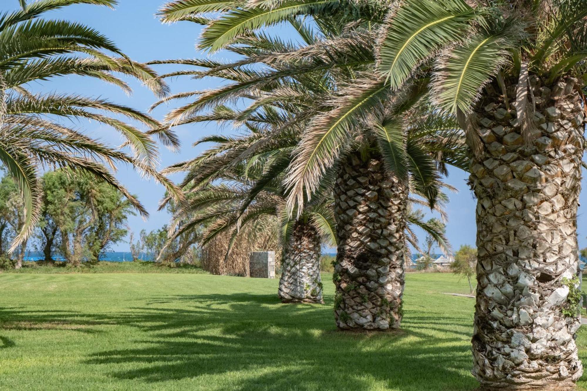 Agapi Beach Resort Premium All Inclusive Amoudara Lasithiou Esterno foto